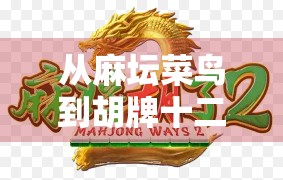 从麻坛菜鸟到胡牌十二次，一场麻将局里的自我救赎与人生顿悟